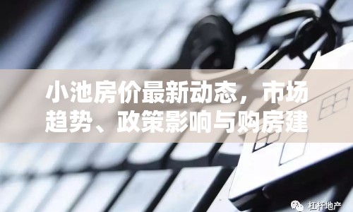 小池房價最新動態(tài)，市場趨勢、政策影響與購房建議全解析