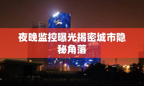 夜晚監(jiān)控曝光揭密城市隱秘角落