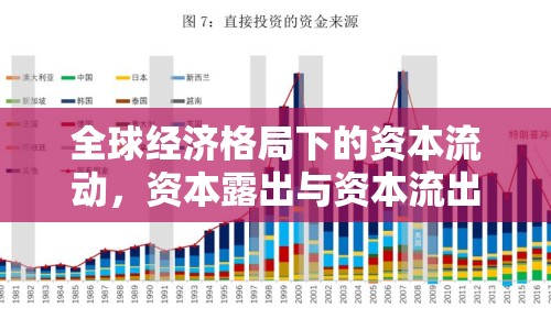 全球經(jīng)濟格局下的資本流動，資本露出與資本流出