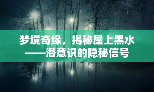 夢境奇緣，揭秘屋上黑水——潛意識的隱秘信號