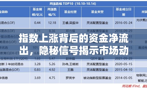 指數(shù)上漲背后的資金凈流出，隱秘信號揭示市場動態(tài)