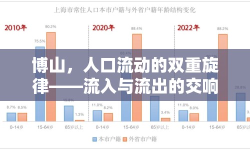 博山，人口流動的雙重旋律——流入與流出的交響曲