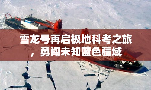 雪龍?zhí)栐賳O地科考之旅，勇闖未知藍(lán)色疆域