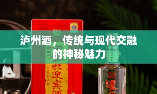 瀘州酒，傳統(tǒng)與現(xiàn)代交融的神秘魅力