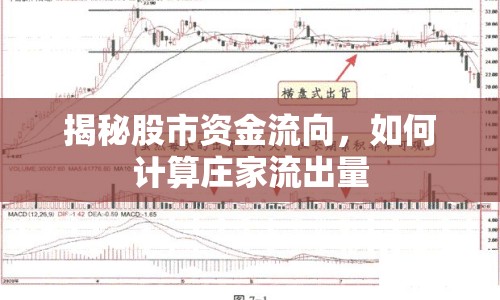 揭秘股市資金流向，如何計算莊家流出量