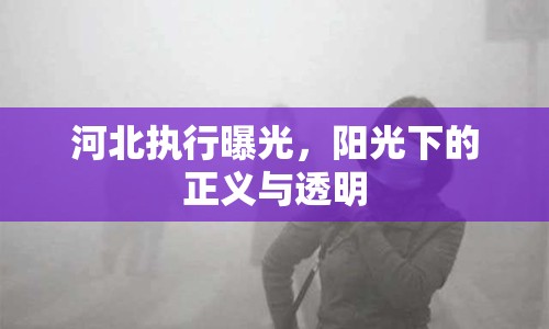 河北執(zhí)行曝光，陽光下的正義與透明