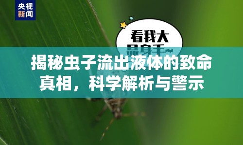 揭秘蟲子流出液體的致命真相，科學解析與警示