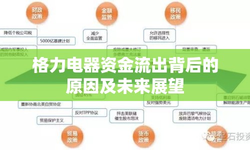 格力電器資金流出背后的原因及未來展望