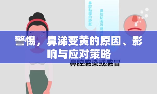 警惕，鼻涕變黃的原因、影響與應(yīng)對策略