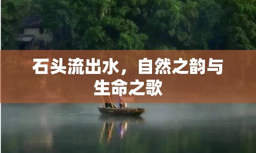 石頭流出水，自然之韻與生命之歌