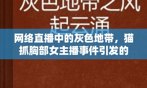 網(wǎng)絡(luò)直播中的灰色地帶，貓抓胸部女主播事件引發(fā)的倫理探討