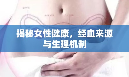 揭秘女性健康，經(jīng)血來源與生理機制