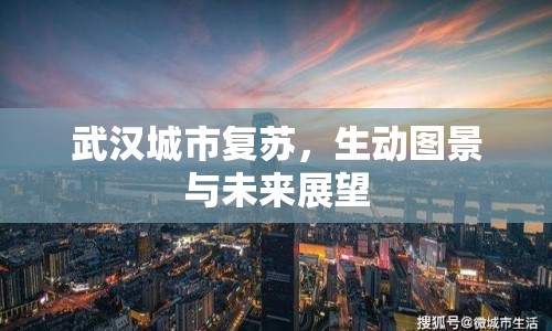 武漢城市復(fù)蘇，生動圖景與未來展望