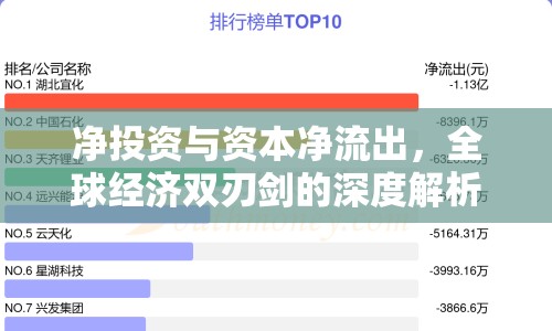凈投資與資本凈流出，全球經(jīng)濟(jì)雙刃劍的深度解析