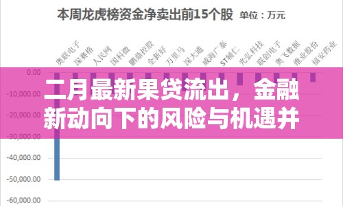 二月最新果貸流出，金融新動(dòng)向下的風(fēng)險(xiǎn)與機(jī)遇并存