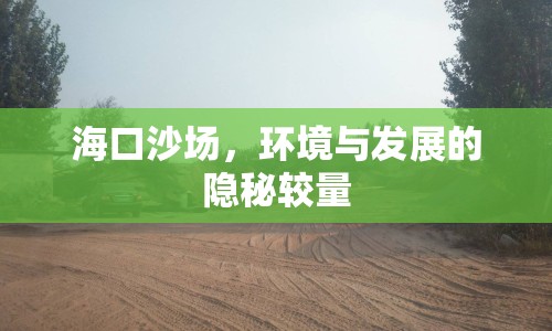 海口沙場(chǎng)，環(huán)境與發(fā)展的隱秘較量