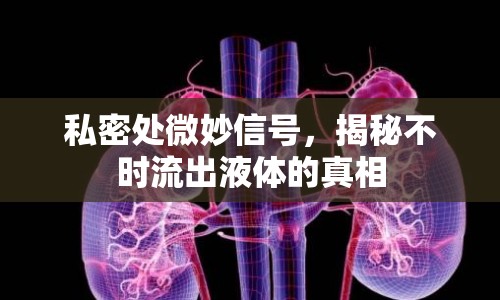 私密處微妙信號(hào)，揭秘不時(shí)流出液體的真相