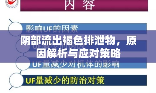 陰部流出褐色排泄物，原因解析與應對策略