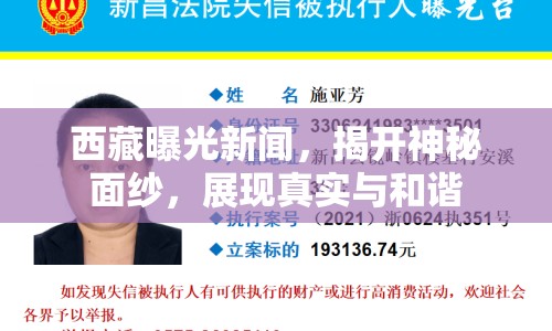 西藏曝光新聞，揭開神秘面紗，展現(xiàn)真實與和諧