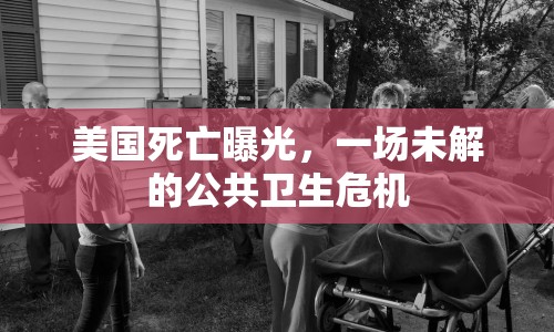 美國死亡曝光，一場未解的公共衛(wèi)生危機