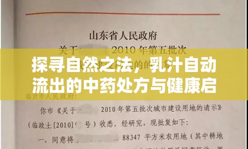 探尋自然之法，乳汁自動流出的中藥處方與健康啟示