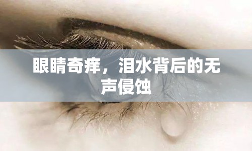 眼睛奇癢，淚水背后的無聲侵蝕