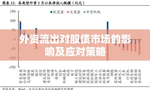 外資流出對股債市場的影響及應對策略