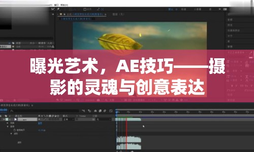 曝光藝術(shù)，AE技巧——攝影的靈魂與創(chuàng)意表達