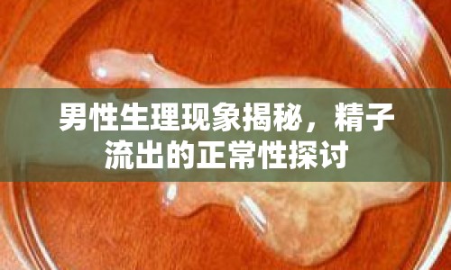 男性生理現(xiàn)象揭秘，精子流出的正常性探討