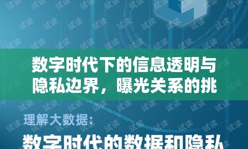 數字時代下的信息透明與隱私邊界，曝光關系的挑戰(zhàn)與應對