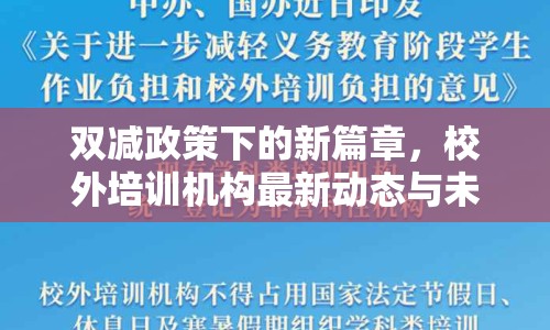 雙減政策下的新篇章，校外培訓(xùn)機(jī)構(gòu)最新動態(tài)與未來展望