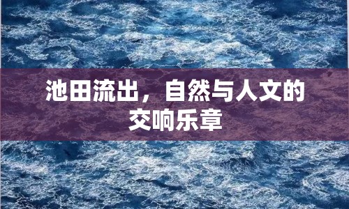 池田流出，自然與人文的交響樂章