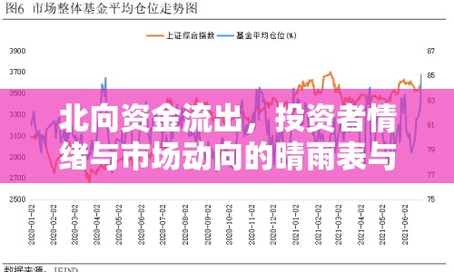 北向資金流出，投資者情緒與市場(chǎng)動(dòng)向的晴雨表與風(fēng)向標(biāo)