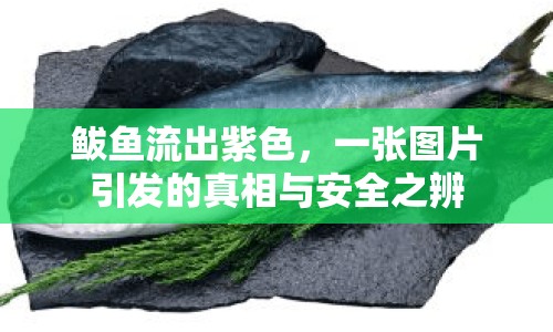 鲅魚流出紫色，一張圖片引發(fā)的真相與安全之辨