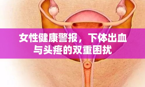 女性健康警報，下體出血與頭疼的雙重困擾