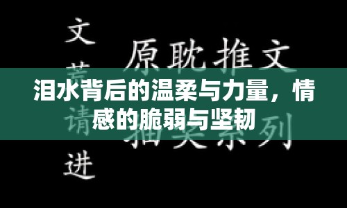 淚水背后的溫柔與力量，情感的脆弱與堅(jiān)韌