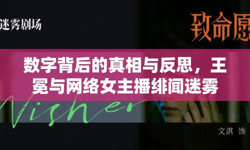 數(shù)字背后的真相與反思，王冕與網(wǎng)絡(luò)女主播緋聞迷霧的剖析