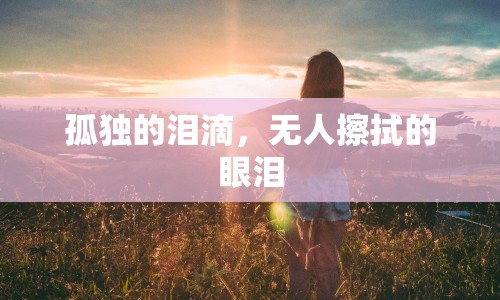 孤獨(dú)的淚滴，無人擦拭的眼淚