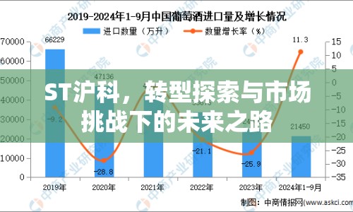 ST滬科，轉(zhuǎn)型探索與市場挑戰(zhàn)下的未來之路