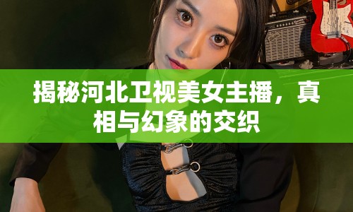 揭秘河北衛(wèi)視美女主播，真相與幻象的交織