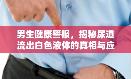 男生健康警報，揭秘尿道流出白色液體的真相與應對策略