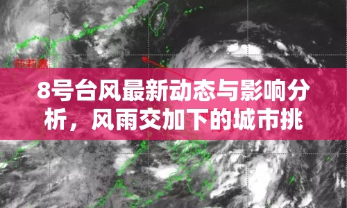 8號(hào)臺(tái)風(fēng)最新動(dòng)態(tài)與影響分析，風(fēng)雨交加下的城市挑戰(zhàn)