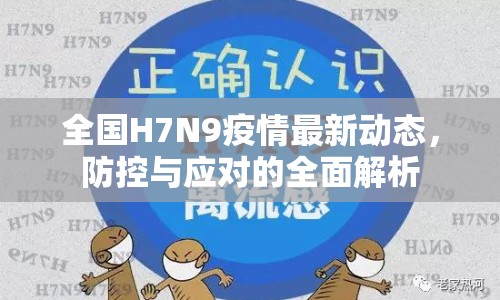 全國(guó)H7N9疫情最新動(dòng)態(tài)，防控與應(yīng)對(duì)的全面解析