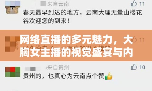 網(wǎng)絡直播的多元魅力，大胸女主播的視覺盛宴與內容價值探索