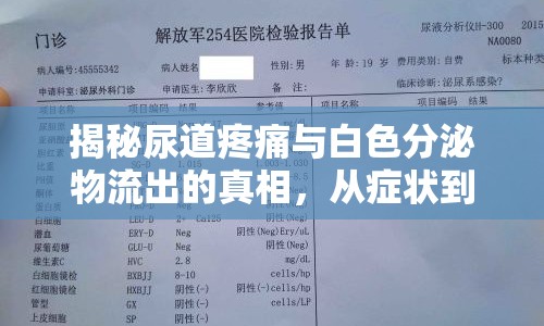 揭秘尿道疼痛與白色分泌物流出的真相，從癥狀到預防的全面指南