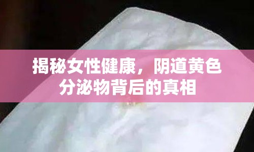 揭秘女性健康，陰道黃色分泌物背后的真相