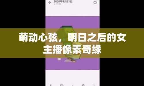 萌動心弦，明日之后的女主播像素奇緣