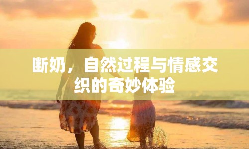 斷奶，自然過(guò)程與情感交織的奇妙體驗(yàn)