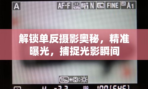 解鎖單反攝影奧秘，精準曝光，捕捉光影瞬間