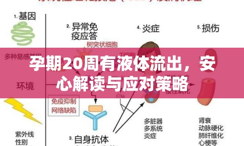 孕期20周有液體流出，安心解讀與應(yīng)對策略